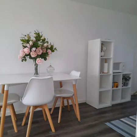 Light Blue 阿威罗