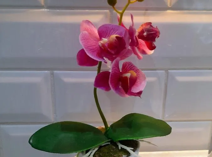 Apartamento Light Blue *